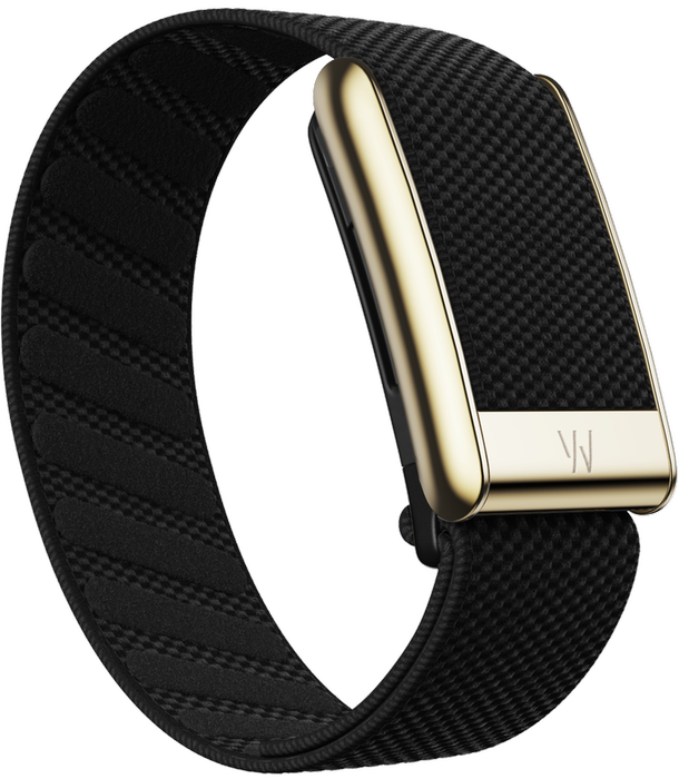 WHOOP 5.0 Woven Strap - Black with Gold Buckle