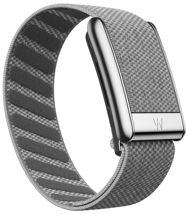 WHOOP 5.0 Woven Strap - Gray with Silver Buckle